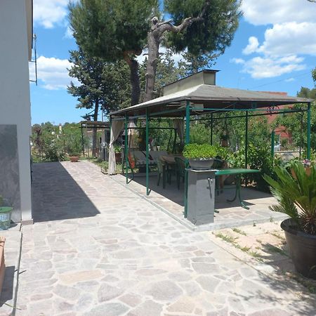 ألتامورا B&B 1898 - Villa Colonna المظهر الخارجي الصورة